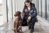9 Must-Have Hundeprodukte für neue Hundehalter