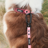 Detailaufnahme der BioThane® Umhängeleine Mérida DUO in Rose mit schwarzem Sicherheitskarabiner, eingehängt am Halsband in Red Wine / Rose eines braun-weißen Hundes.