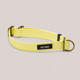 Zugstopphalsband für Hunde Gizeh Butter Yellow