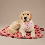 Hundedecke " Love Hearts"