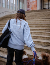 Hejnika Bio Baumwoll Sweater Hellblau Dog Owner Essentials