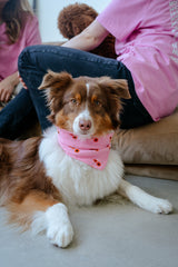 Hejnika Hundehalstuch Flower Power Musselin Hundehalstuch