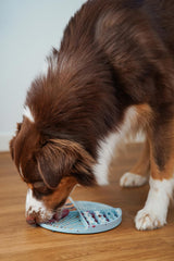Hejnika Schleckmatte Sahara Ice Cube Beschaeftigungsspielzeug fuer Hunde
