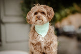 Musselin Hundehalstuch "Soft Mint"