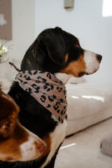 Hejnika Shop Hundehalstuch Musselin Leo