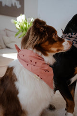 Hejnika Shop Hundehalstuch Musselin Valentines