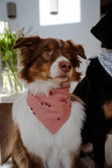 Hejnika Shop Hundehalstuch Musselin Valentines hearts