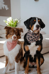 Hejnika Shop Hundehalstuch Musselin