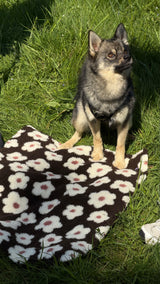 Hundedecke "Spring Flowers"