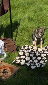 PRE ODER | Hundedecke "Spring Flowers"