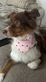 Hundehalstuch "Hearts" | Baumwolle | Herzchen-Print