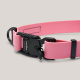 Nahaufnahme der schwarzen Fidlock Schnalle und des D-Rings am rosa Hundehalsband für schnelles Anleinen.