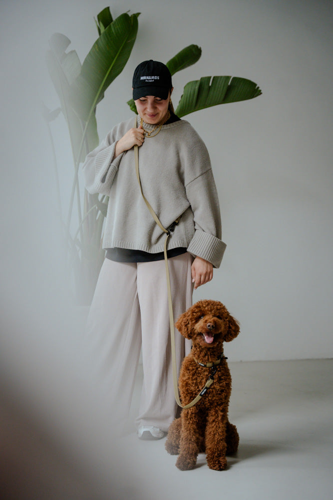 Hejnika Hundezubehoer Biothaneleine Merida pale Olive Beige Umhaengeleine für Hunde 