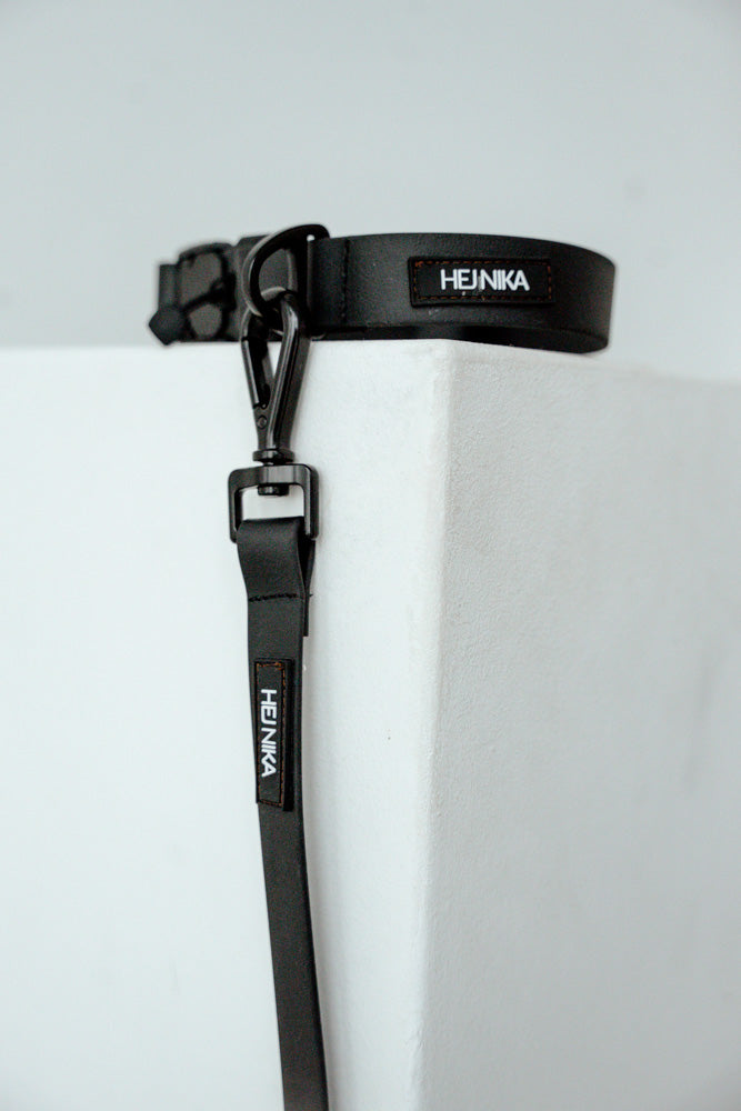 Hejnika Shop Biothane Halsband für Hunde Merida All Black – Halsband mit Magnetverschluss – pflegeleicht, robust & verstellbar