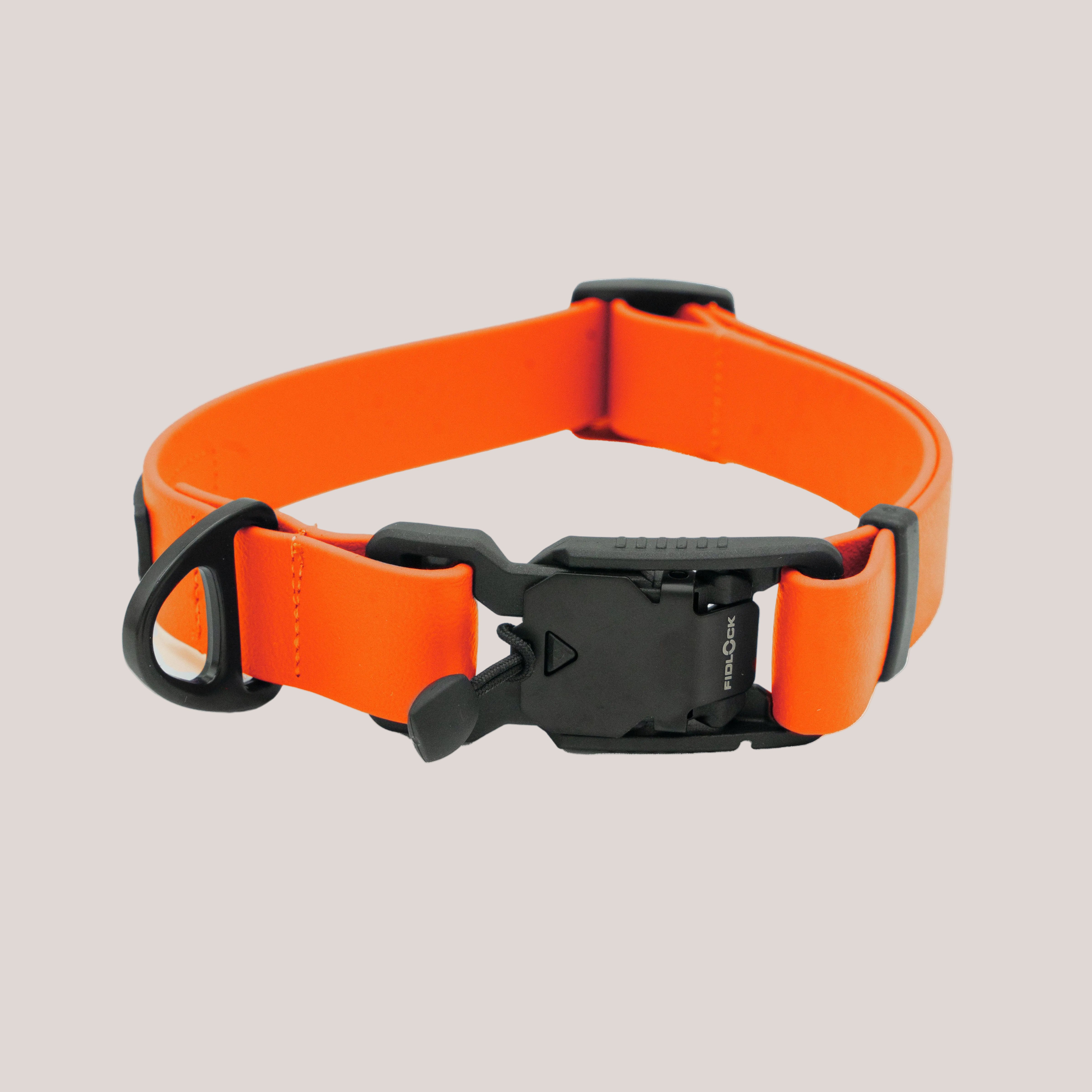 Halsband für Hunde – robust, verstellbar & vegan