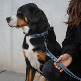 Detailaufnahme der Karabiner & D-Ringe des BioThane® Halsbands für Hunde in Blau – langlebige Qualität – Hej Nika