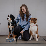 Hund mit Powder Blue Halsband – stilvolles & sicheres Halsband für Hunde – Hej Nika
