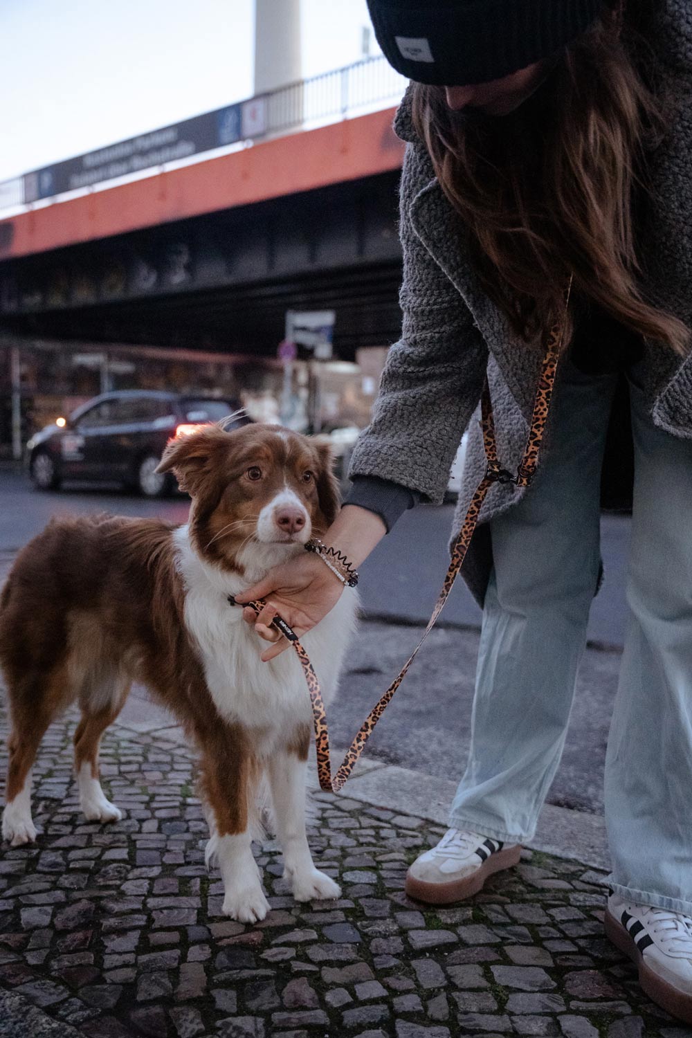 Umhängeleine aus BioThane® im Leooptik bei einer Gassirunden mit dem Hund in der Innenstadt. 