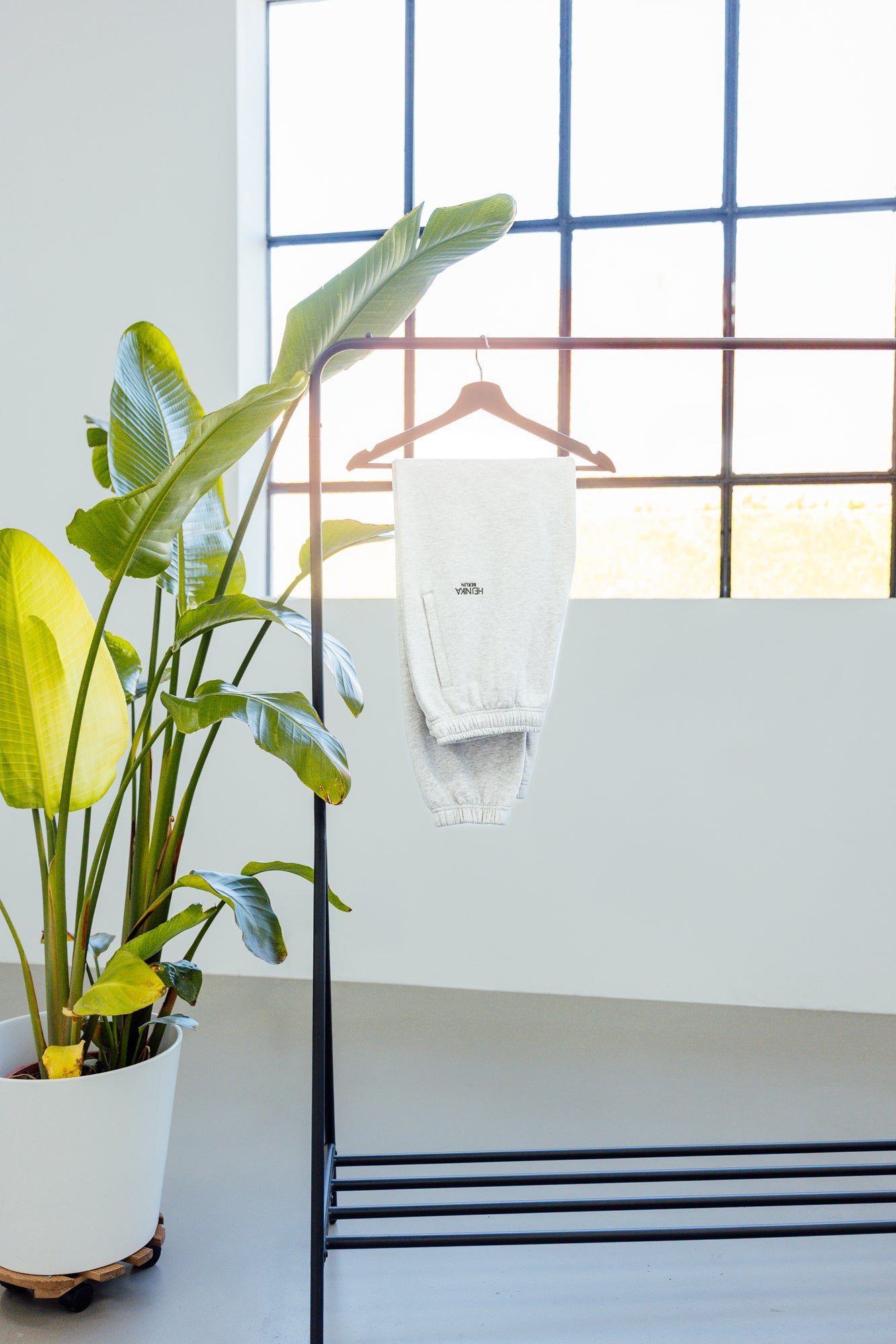 Hej Nika Jogginghose für Hundebesitzer "Weekend Plans" bei einem Fotoshooting auf einer Kleiderstange in einem Studio.