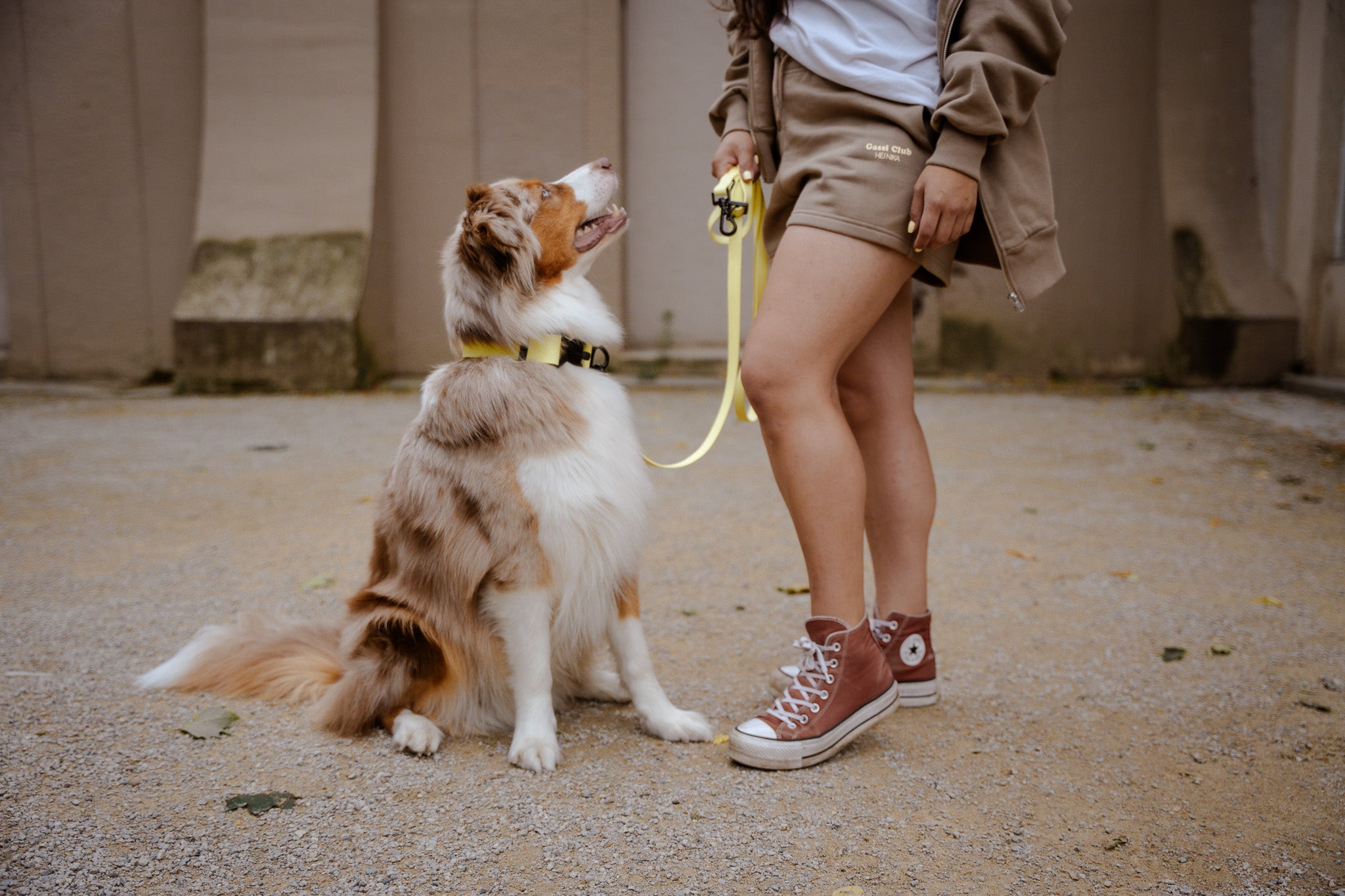 Hundebesitzer mit gelber Umhängeleine für Hunde beim Spaziergang – robust & verstellbar – Hej Nika