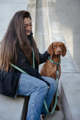 Hej Nika Umhaengeleine fuer Hunde Hundebesitzerin bei Spaziergang mit hund und Leine 